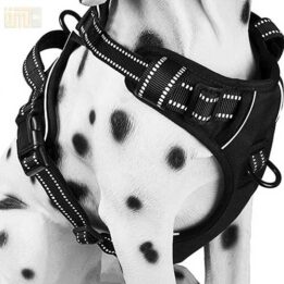 Pet Factory wholesale Amazon Ebay Wish hot large mesh dog harness 109-0001 www.gmtpet.shop