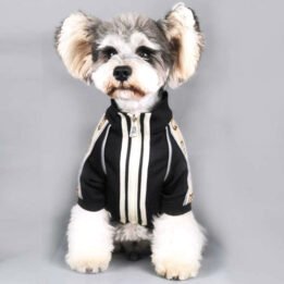2020 Dog Coat Spring Autumn Pet Clothing Small Designer Dog Clothes www.gmtpet.shop