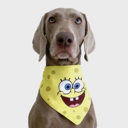 New Product Yellow Cartoon Cute Duck triangle scarf Pet Saliva Towel www.gmtpet.shop