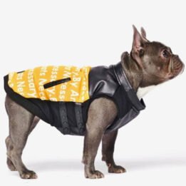 Pet Dog Clothes Vest Padded Dog Jacket Cotton Clothing for Winter www.gmtpet.shop
