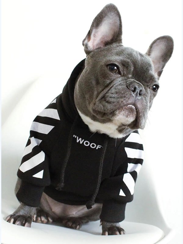 Роскошная одежда для домашних животных, теплая толстовка с капюшоном, модная зимняя дизайнерская одежда для собак на заказ, 06-1396 www.gmtpet.shop