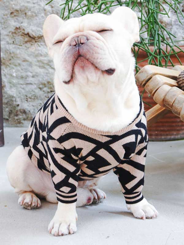 Оптовый поставщик одежды для домашних животных Роскошный вязаный свитер для собак Теплая зимняя одежда для собак 06-1392 www.gmtpet.shop