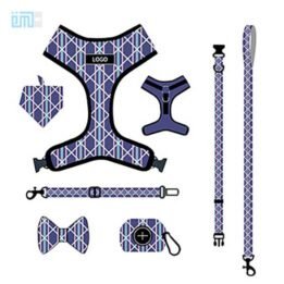 Pet harness factory new dog leash vest-style printed dog harness set small and medium-sized dog leash 109-0032 www.gmtpet.shop