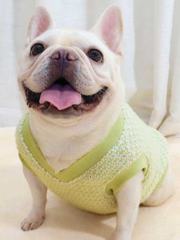 GMTPET Thickened autumn and winter fat dog short body bulldog pug dog lady plush rich rich French fighting clothes v-neck vest vest 107-222012 www.gmtpet.shop