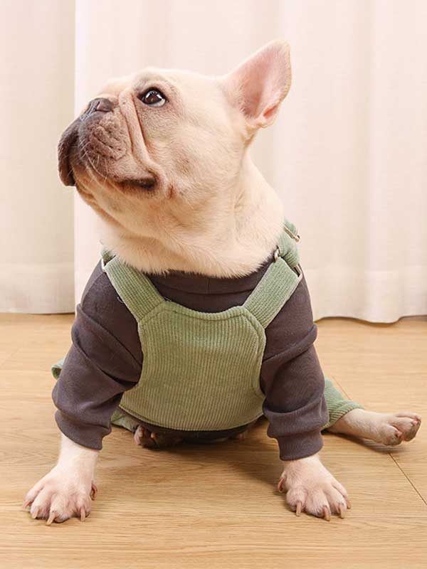 GMTPET French fighting clothes high elastic comfortable solid color plus velvet thick bottoming shirt T-shirt bulldog dog clothes 107-222016 www.gmtpet.shop