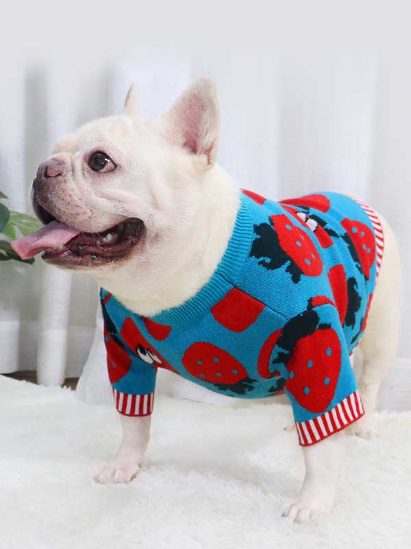 New autumn and winter dog clothes bulldog sweater strawberry cartoon short body fat dog method fighting autumn sweater 107-222041 www.gmtpet.shop
