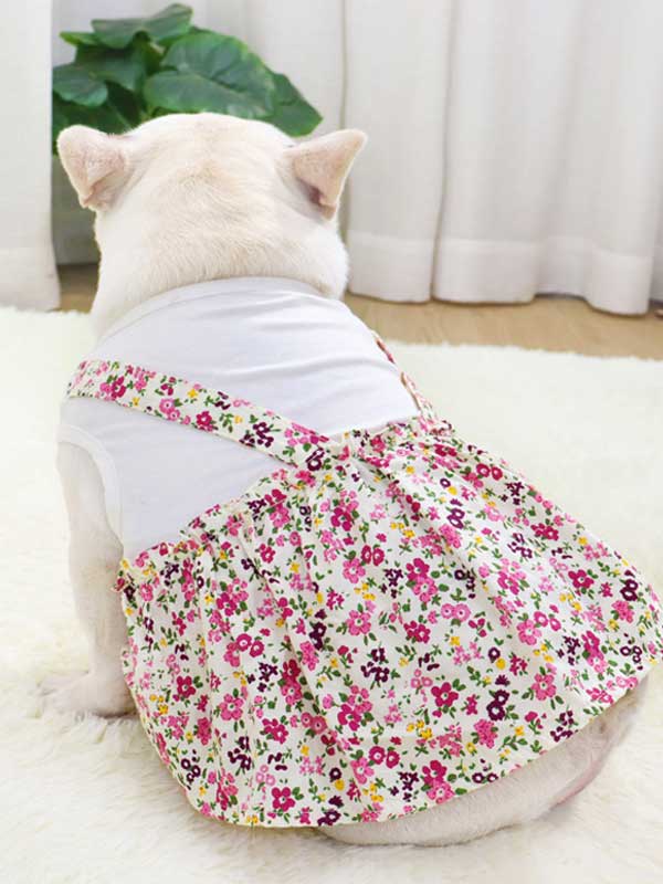 Ropa para perros y mascotas Camisa de fondo Camiseta Ropa de algodón Vestido 107-222043 www.gmtpet.shop