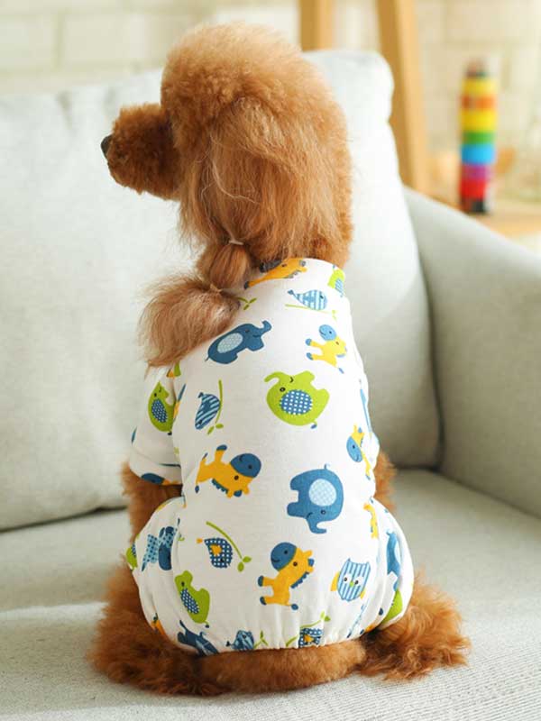Nuevo cachorro perro Teddy ropa de cuatro patas ropa informal para mascotas 107-222047 www.gmtpet.shop