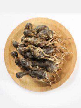 OEM & ODM Pet food freeze-dried Quail for dog and cat 130-072 www.gmtpet.shop