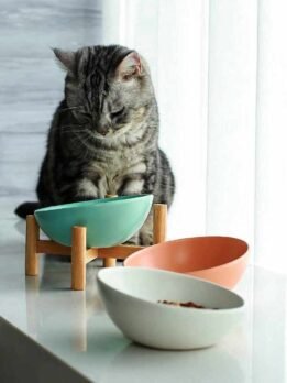 Tigelas de comida para gatos com boca inclinada de cerâmica alta e estrutura de madeira por atacado 123-12006 www.gmtpet.shop