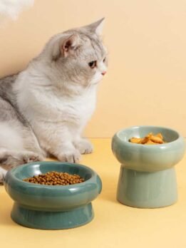 Tigela de cerâmica para gato tigela para comida de gato tigela para beber cachorro 123-12011 www.gmtpet.shop