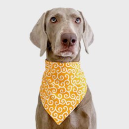 2020 New Custom Summer Triangle Bandana Personalized Pet Accessories Cat Dog Triangle Scarf