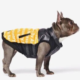 Pet Dog Clothes Vest Padded Dog Jacket Cotton Clothing for Winter